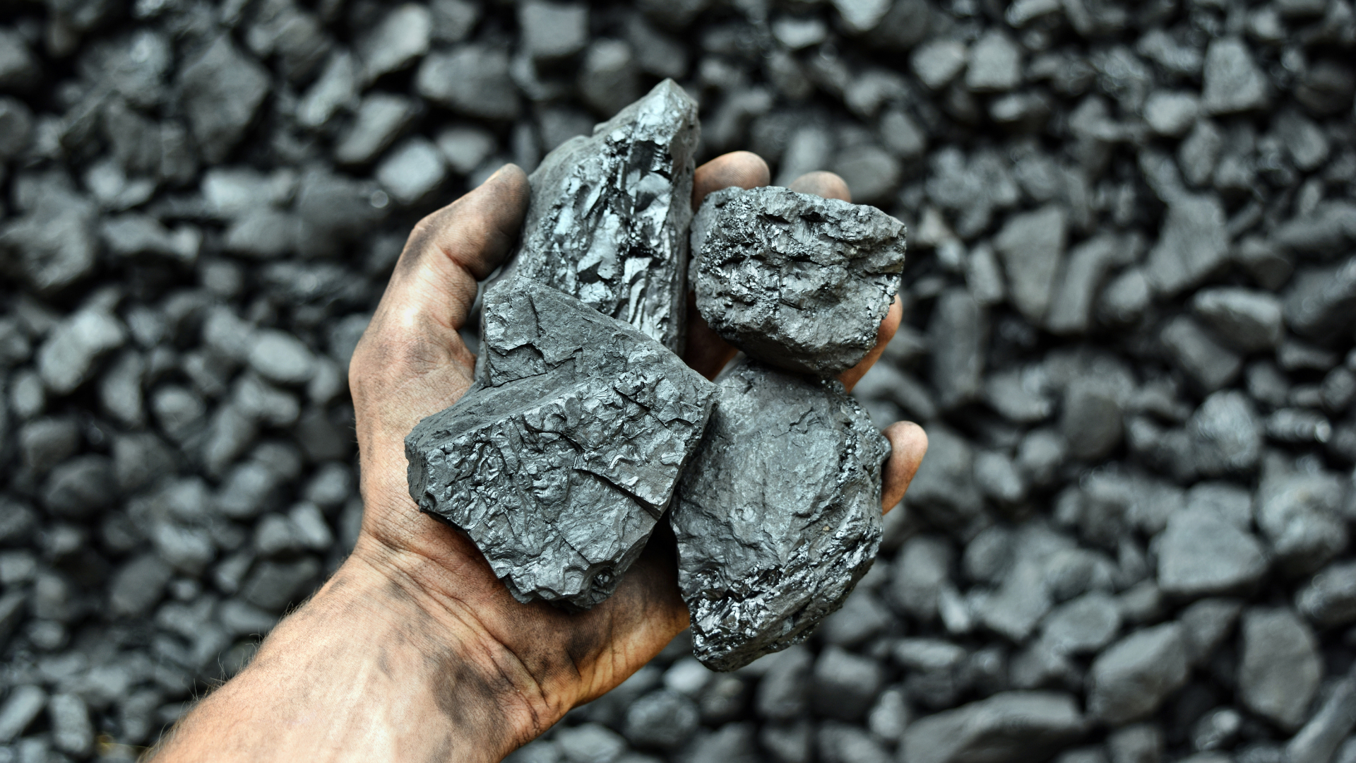 Coal web 111